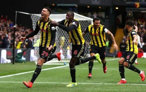 Bsports必一体育-包含沃特福德主场取胜，冲击前列积分的词条